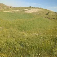 زمین-باغ-شهری