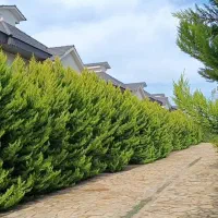 1700متر مشارکت