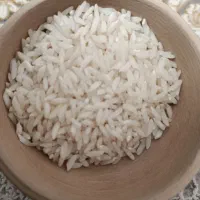 فروش برنج دورود