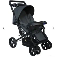 کالسکه بنیتای دلیجان