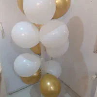 شاخه بادکنک کامل.