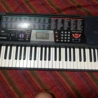 ارگ کاسیو 501