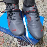 کتونی ورزشی اصل اصل پوما اورجینال