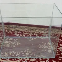 اکواریوم