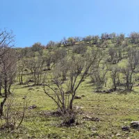 ۴ هزار متر زمین بر خط اولاد قباد