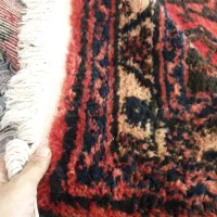 فرش دست بافت روستایی پشم خالص فوری|فرش|هشتگرد, شهرک پامچال|دیوار