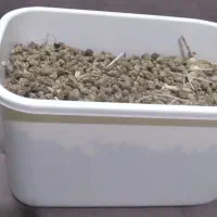 توت خشک