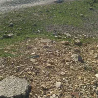 زمین واگذاری اداره برق