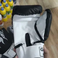 دستکش بوکس نو|تجهیزات ورزشی|رشت, کوی مهر|دیوار