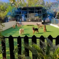 استخدام کارگر پانسیون حیوانات