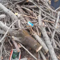 خرید چوب صنوبر پالت جنگلی محوطه