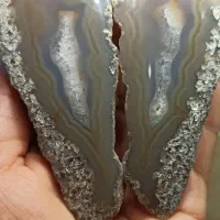 شجر کلکسیونی|جواهرات|سرایان, |دیوار