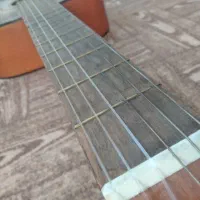 گیتار برای تازه کارها|گیتار، بیس، امپلیفایر|سرعین, |دیوار