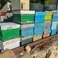 کندو خالی زنبور