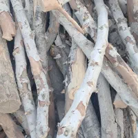 چوب چنار خراطی