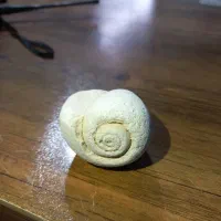 فسیل دو عدد|کلکسیون اشیاء عتیقه|کارون, |دیوار