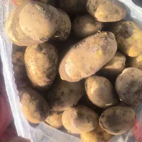 اگریا درشت بار عمده و خرده فروشی|خوردنی و آشامیدنی|اصفهان, باغ زرشک|دیوار