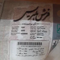 فرش|فرش|کلارآباد, |دیوار