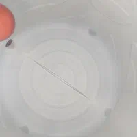 نظافت و شستشوی داخل منبع آب|خدمات نظافت|رشت, توشیبا|دیوار