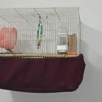 قفس و قفل درب خانه|مصالح و تجهیزات ساختمان|مشهد, شهید بصیر|دیوار