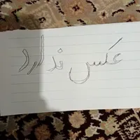عروس هلندی گم شده عروس هلندی طوسی