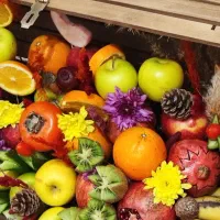 میوه آرایی ،یلدا، حکاکی|خدمات پذیرایی، مراسم|قم, علی آباد|دیوار