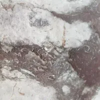 سنگ طرح دار