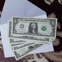دلار کلکسیونی آمریکا