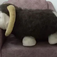 عروسک قوچ|اسباب‌‌بازی|قم, شهرک مهدیه (مدرس)|دیوار