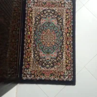 دوتا دم دری وی فرش گرد قالی|پادری|مشهد, کشاورز|دیوار