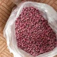 لوبیا قرمز بوجاری شده در دهگلان|خوردنی و آشامیدنی|دهگلان, |دیوار