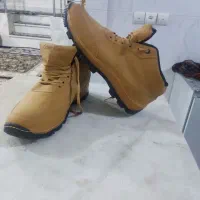 پوتین نو|کیف، کفش، کمربند|کامیاران, |دیوار