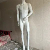 مانکن مردانه|فروشگاه و مغازه|آبدانان, |دیوار