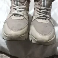 چندعددکفش اسپورت و چرمی|کیف، کفش، کمربند|شیراز, پانصد دستگاه ارتش|دیوار