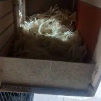 ۳ قفس پرنده تمیز و نو|لوازم جانبی حیوانات|کرمان, |دیوار