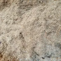 کاه گندم کوبیده شده درجه یک با کیفیت و نرم رامیان