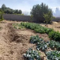 باغ جاده ورزقان|فروش دفتر صنعتی، کشاورزی، تجاری|خواجه, |دیوار