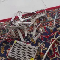 ریسه نور مخفی یخی