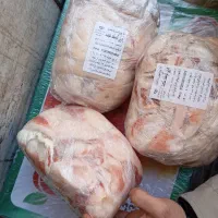 چربی گوسفند منجمد برند آوا پروتئین تولید برج 9