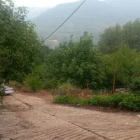 فروش زمین باغ ۲۰۰ متر . جای خوش آب و هوا|فروش زمین و ملک کلنگی|فاضل آباد, |دیوار