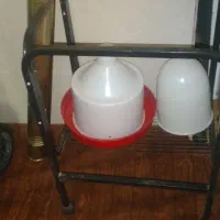 قفس معاوضه با قفس کبک