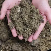 کود گوسفندی