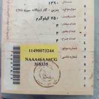 مدارک گم شده