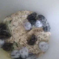 همستر سوری و کمپل