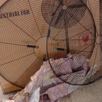 حفاظ پنکه نونو هردوطرف|پنکه و تصفیه‌کنندهٔ هوا|قدس, شهر‌قدس|دیوار