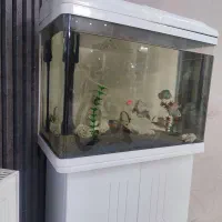 آکواریوم با پایه کابینتی