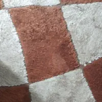 قالی پالاز درحد نو