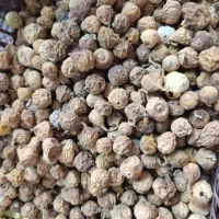 فروش انجیر|خوردنی و آشامیدنی|شیراز, حافظیه|دیوار
