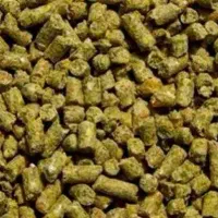 کنسانترە پروراری