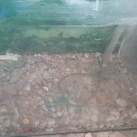 اکواریوم شیشه خم ۹۰